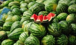 湖南吃瓜爆料事件真相,揭秘真相背后的曲折历程