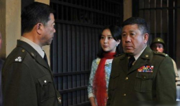 刘小锋谍战电视剧大全,智勇双全的特工传奇