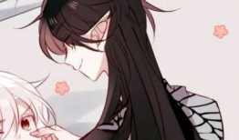 动漫双人,跨越次元的羁绊之旅